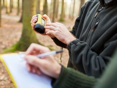 Uslužne delatnosti u vezi sa šumarstvom