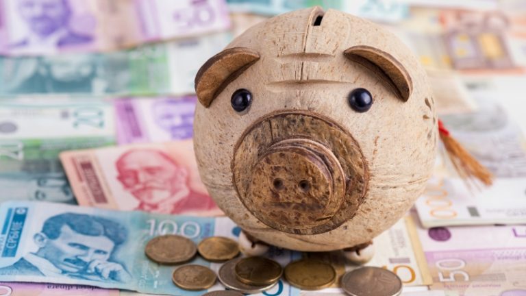 Kasica prasica stoji na novčanicama i kovanicama, simbolično prikazuje temu prosečna bruto plata u Srbiji
