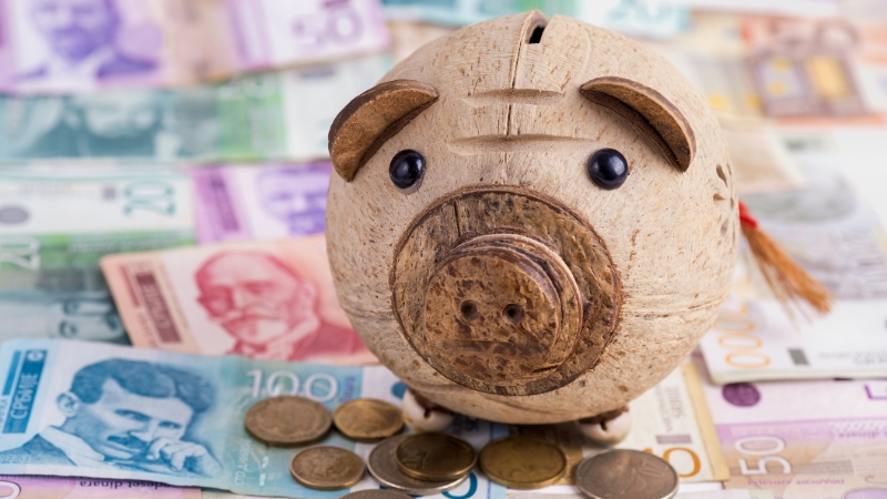 Kasica prasica stoji na novčanicama i kovanicama, simbolično prikazuje temu prosečna bruto plata u Srbiji