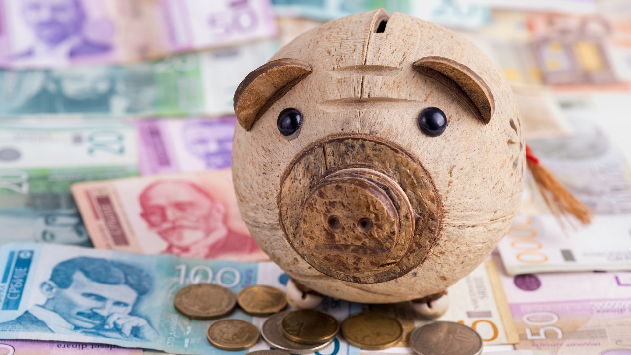 Kasica prasica stoji na novcu kao simbol troškova otvaranja firme